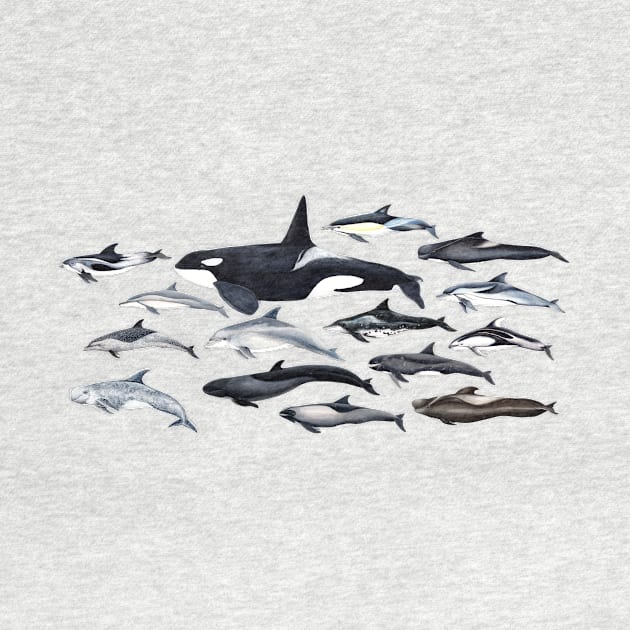 Dolphin diversity by chloeyzoard